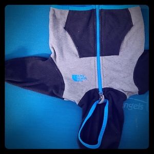 Northface glacier hoodie